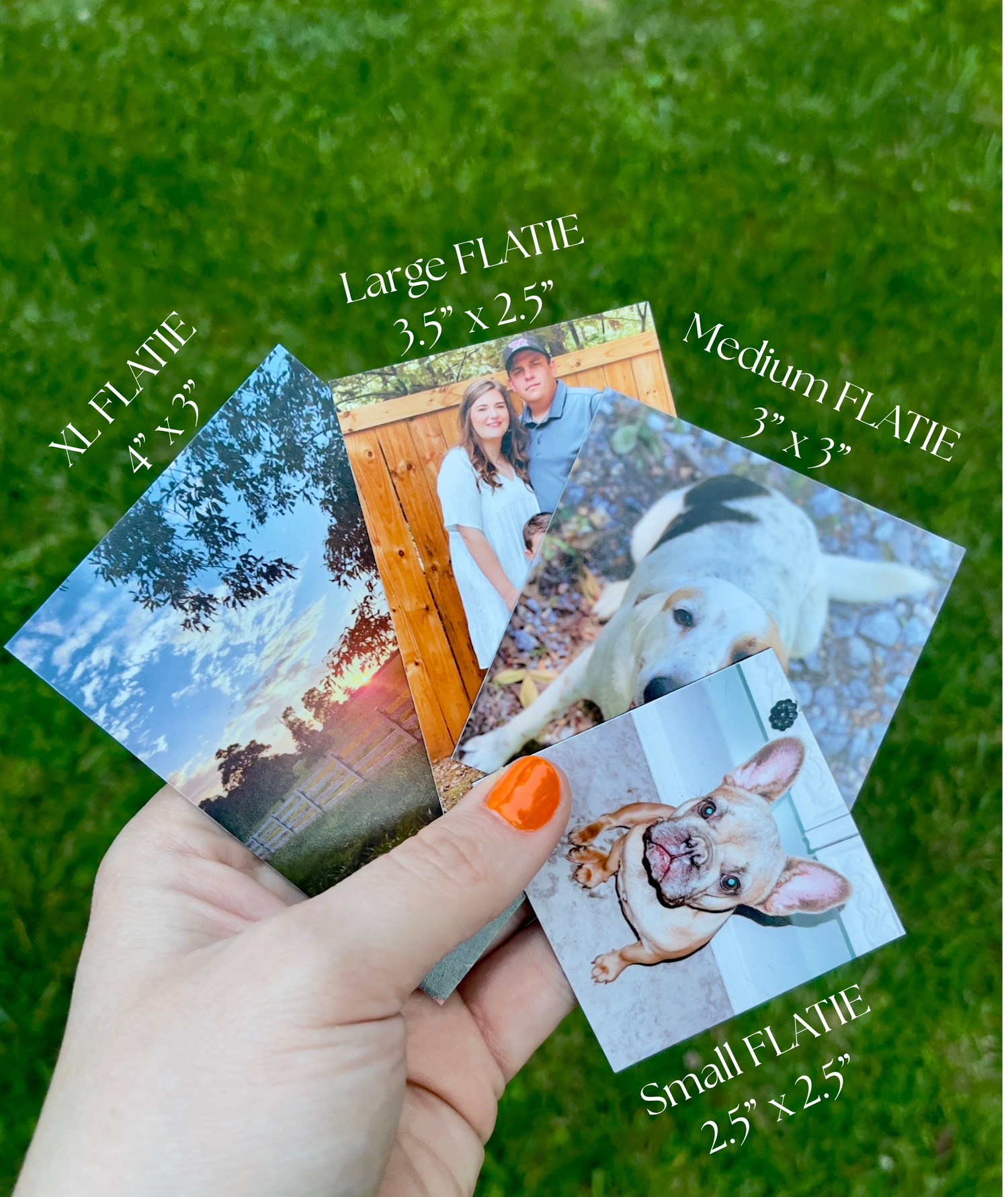 Flatie Magnets